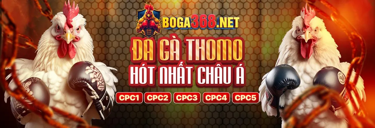 Sân vận động với không khí cá cược thể thao sôi động tại wyn88 trang chủ chính thức