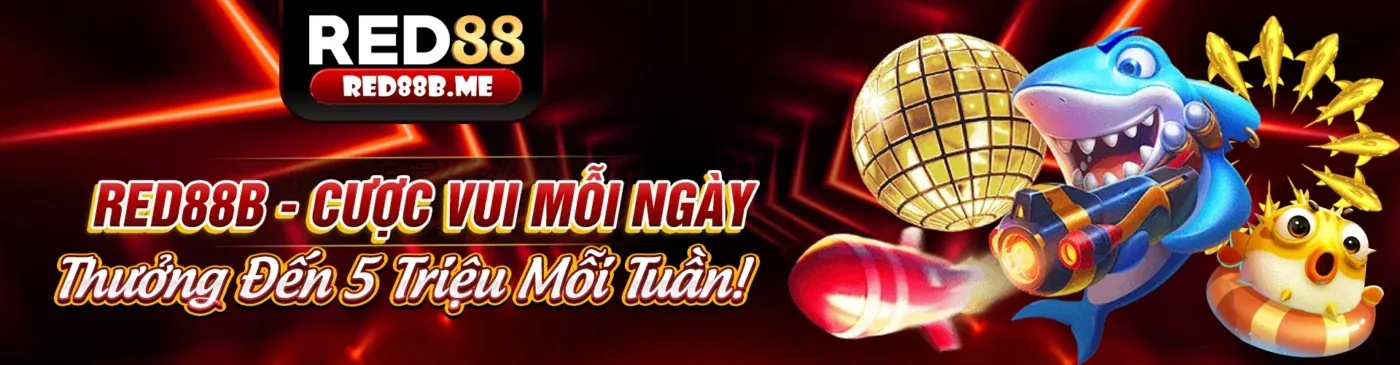 Hình ảnh đại dương rực rỡ với các loài cá đa dạng trong trò chơi bắn cá của Wyn88