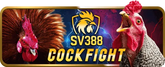 Bảo mật Wyn88